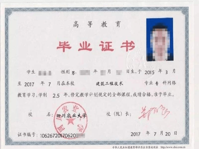 定制证书定制-红金大气喜庆风